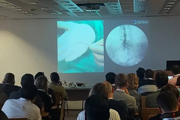 CongressLine Kft - Pain School International tanfolyam 2025. március 6-7. CongressLine Kft - Pain School International tanfolyam 2025. március 6-7.
